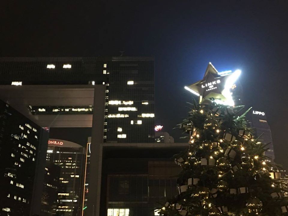 Christmas tree with star topper, lit at night with city buildings in background.