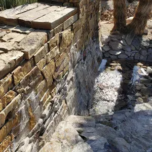 Green and Trim Landscape