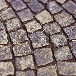 Green and Trim Landscape