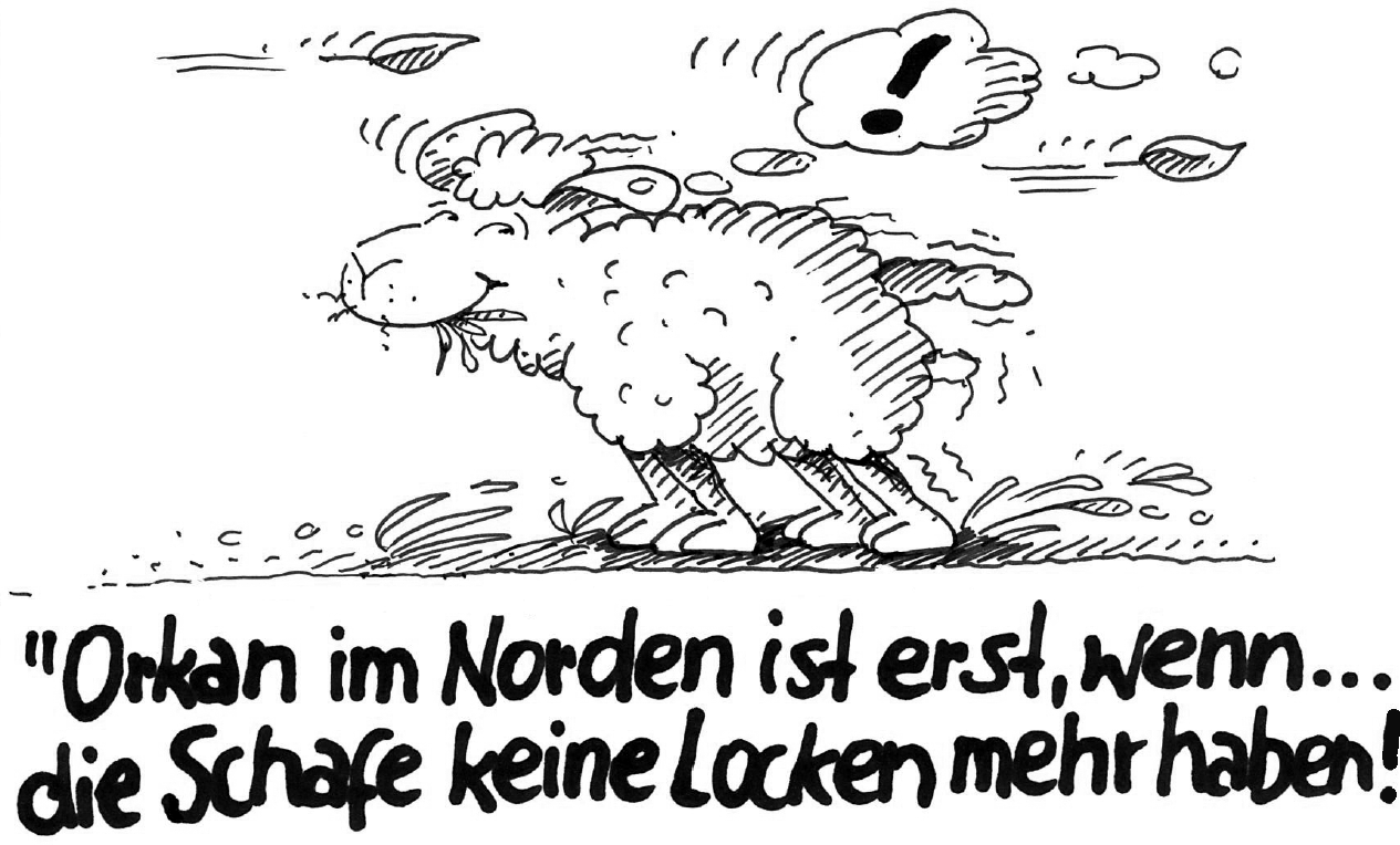 Cartoon von Barbara Hömberg. Es zeigt ein Schaf om Sturm. Darunter der Text: 