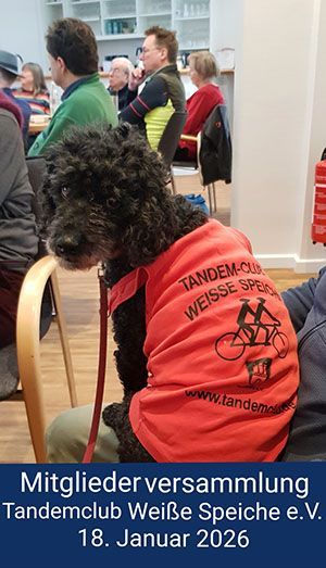 Foto von der Mitgliederversammlung der Weißen Speiche. Ein schwarzer Pudel (der von Simone B. und Hartmut B.) sitzt auf deinem Stuhl und guckt rückwärts etwas verwundert in die Kamera. Der Hund hat ein rotes Leibchen an mit der schwarzen Aufschrift 
