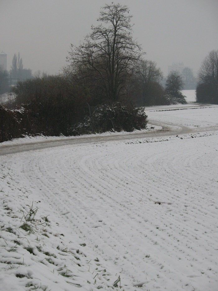 Foto von einer verschneiten Landschaft mit einem Fußweg
