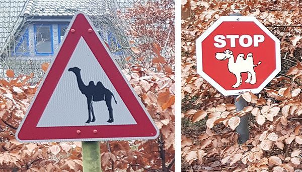 Zwei Fotos von Verkehrsschildern. Links ein Warndreieck (weißt mit rotem Rand) mit einem Kamel in der Mitte. Rechts ein Stoppschild mit 