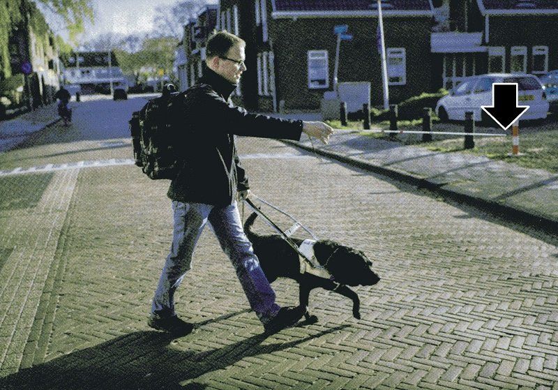 Das Foto aus dem Heft zeigt, wie ein Blinder mit Blindenhund die Straße Überquert. Dabei hält er den Blindenstock horizontal vor sich, ziemlich genau auf Augenhöhe.