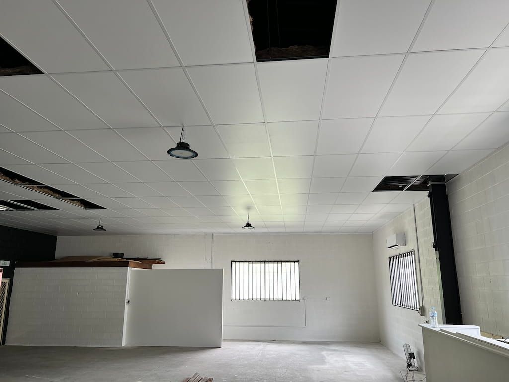 There is a Hole in the Ceiling in the Middle of the Room — Poljak Plasterers in Pimlico, QLD
