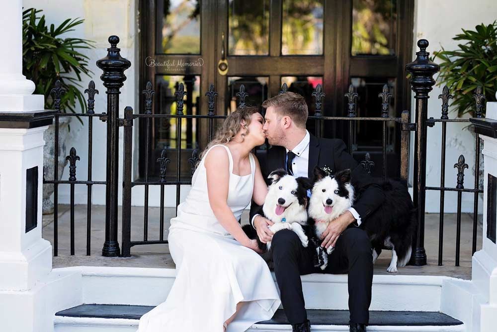 A Bride and Groom Are Sitting on the Steps of a Building With Their Dogs — ‘Weddings on the Run’ – Elope with the Travelling Celebrant In Emu Park, QLD
