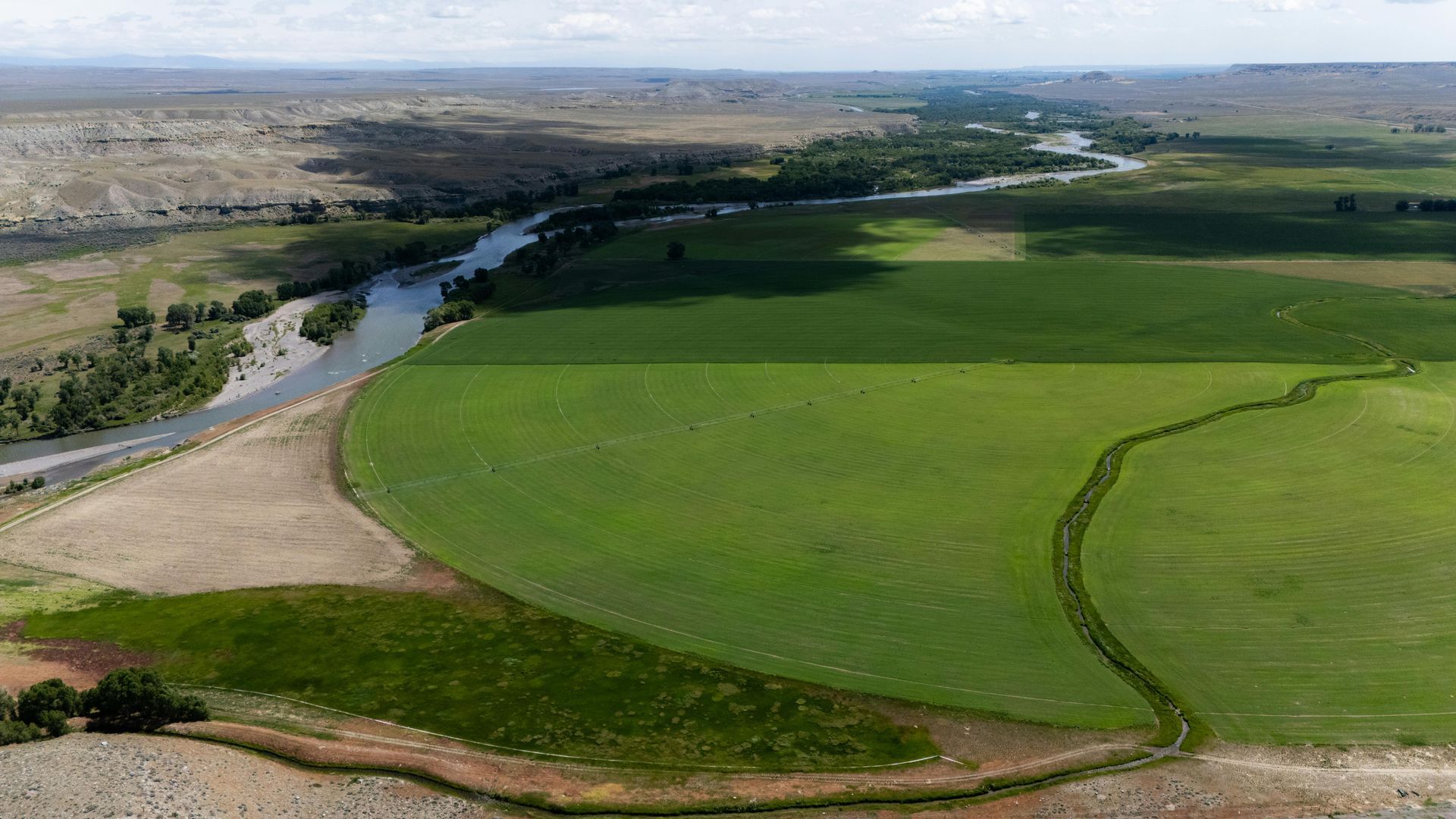 White painted texture, thick brush strokes, with some rough patches and visible wood grain.