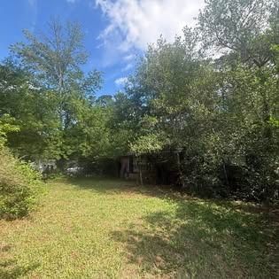 Sunny grassy yard with trees and a small shed under a blue sky