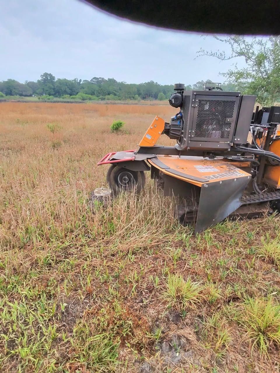 Orange utility vehicle in a grassy field, viewed from behind, with trees in the background.