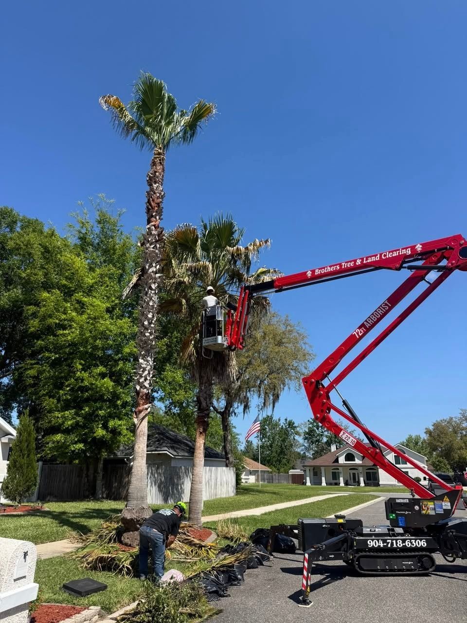 Worker in a red lift trimming a tall palm tree on a sunny suburban street