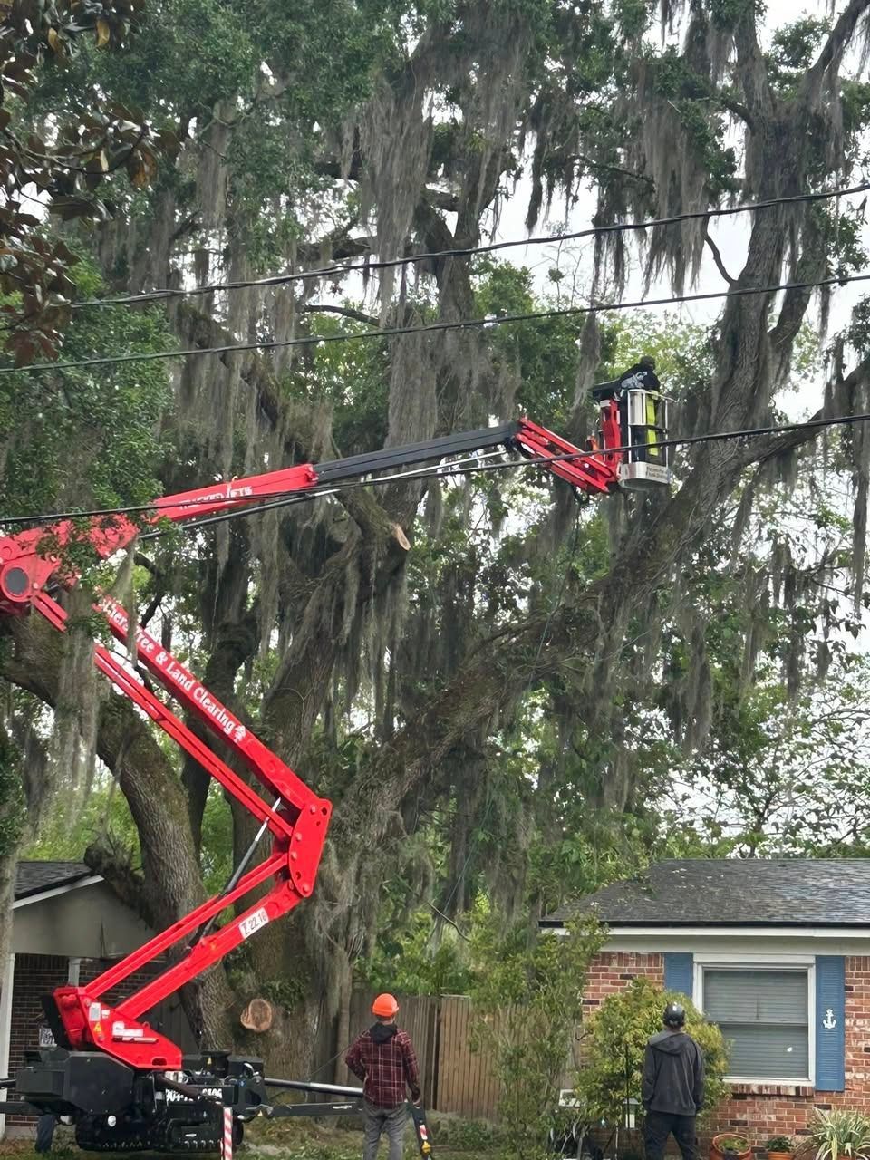 Red cherry picker lifts worker trimming large tree near a house, with two people standing below.