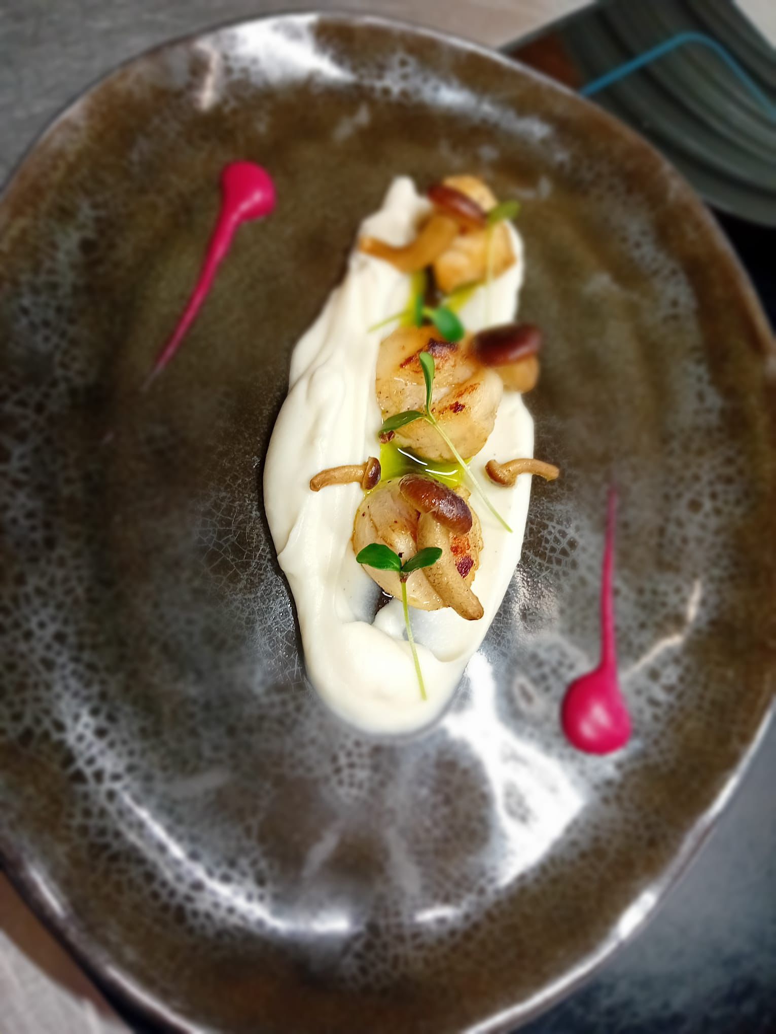 Cibo bianco cremoso guarnito con funghi e germogli su un piatto scuro, impreziosito da salsa magenta.