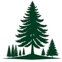 Alberi sempreverdi verde scuro su una collina erbosa.