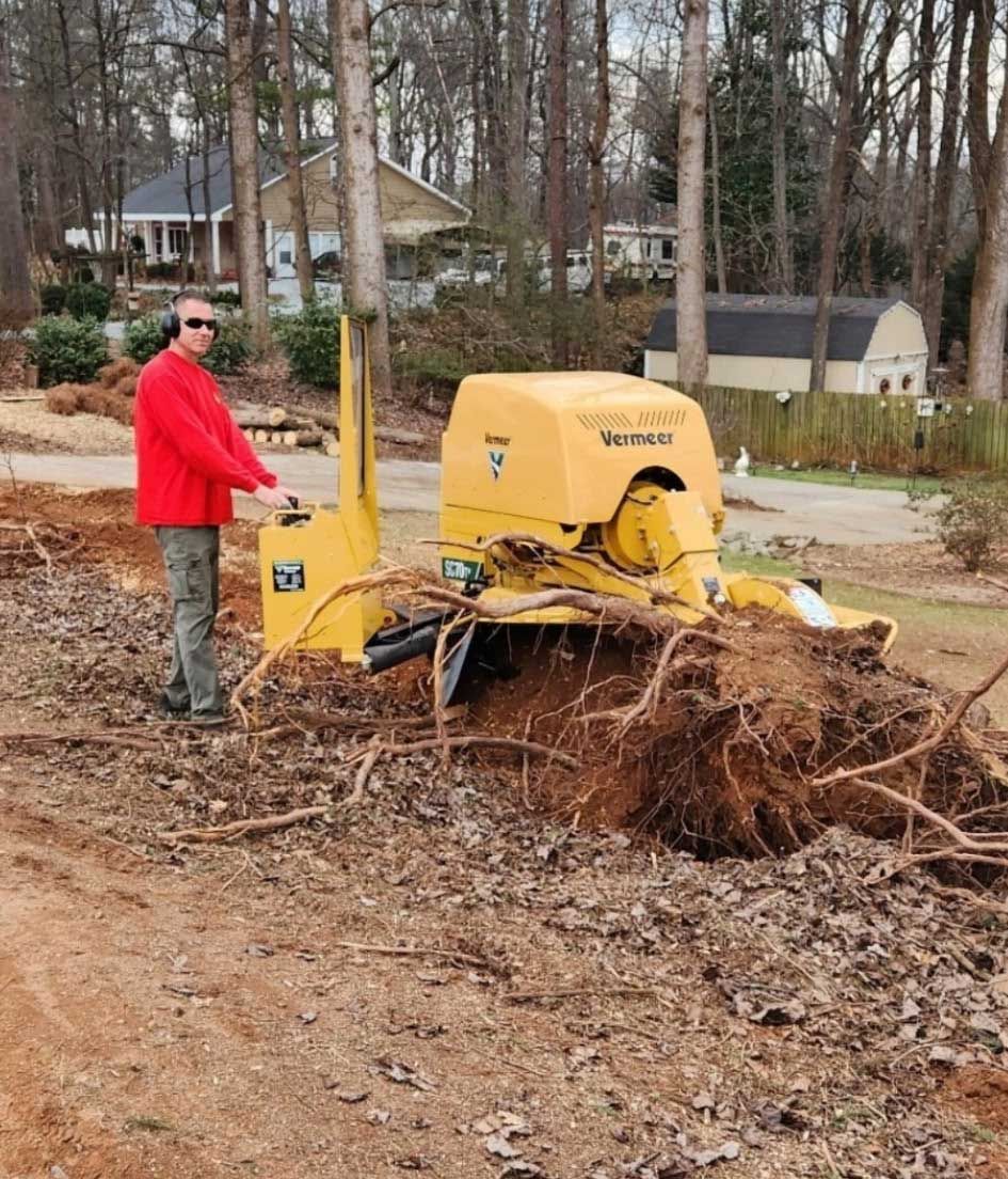 Stump Removal