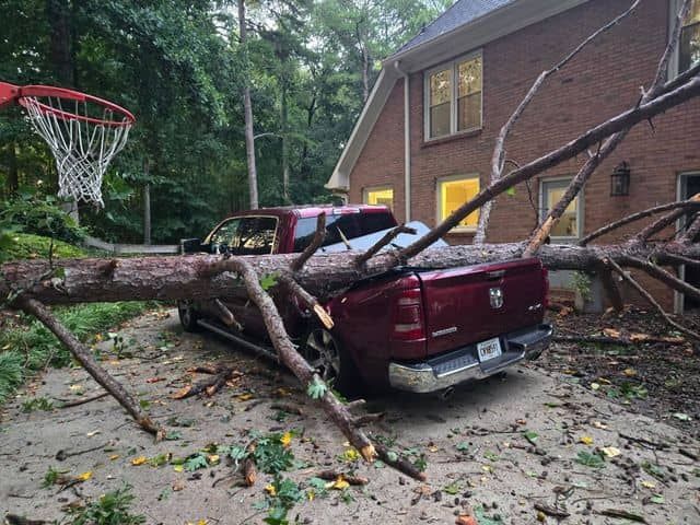 Emergency Tree Service