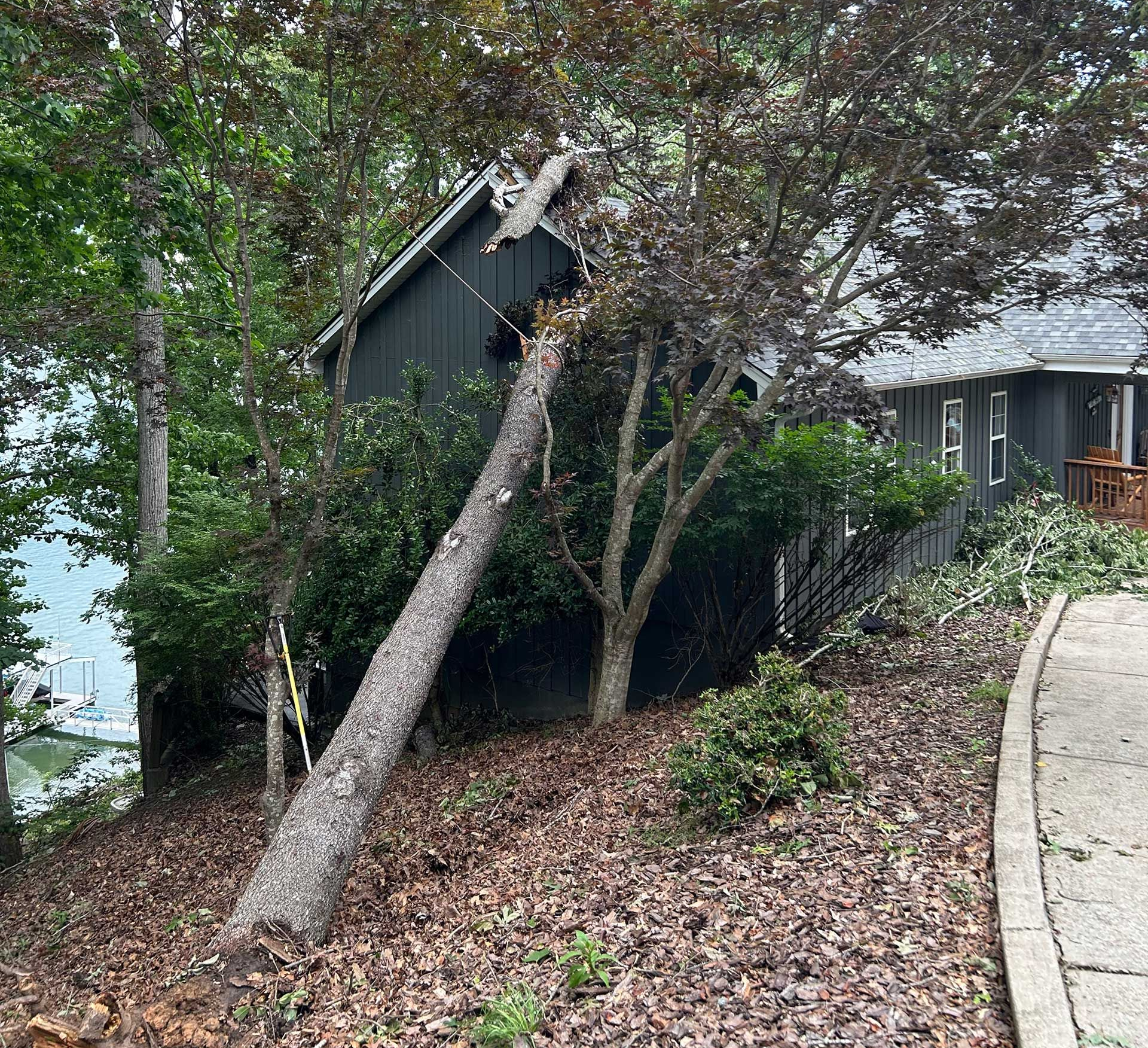 Emergency Tree Service