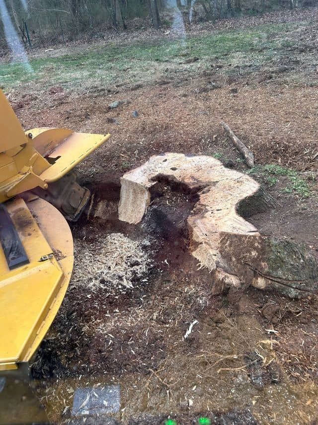 Stump Removal