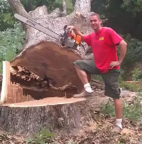 A person in a red shirt standing beside a massive tree stump, resting a large Stihl chainsaw on the cut surface.