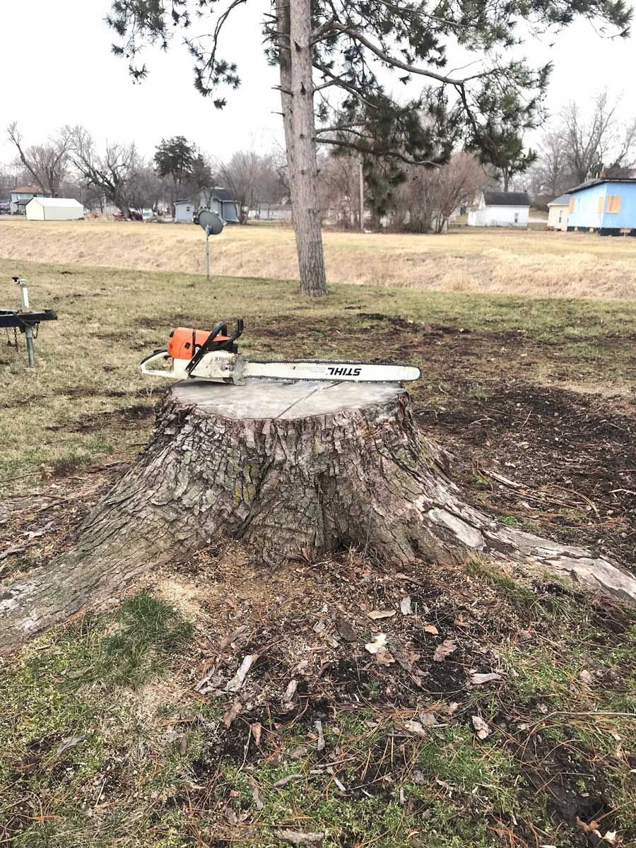 A chainsaw is sitting on top of a tree stump in a field.