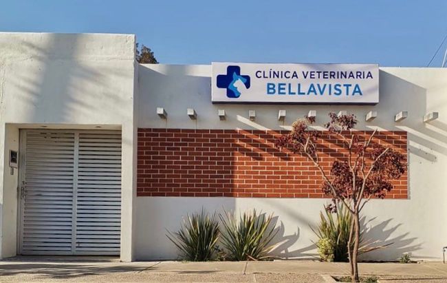 clinica bellavista