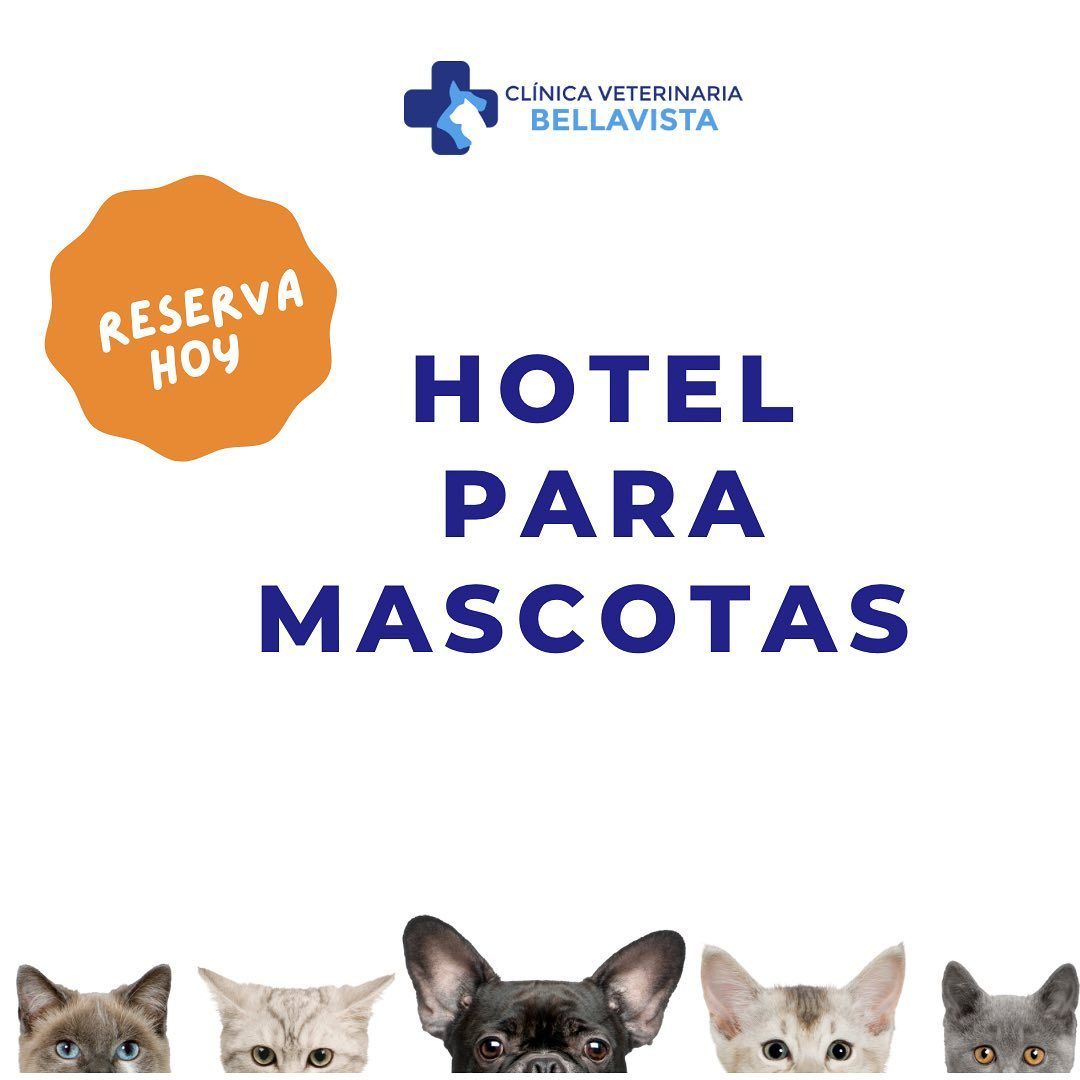 hotel para mascotas