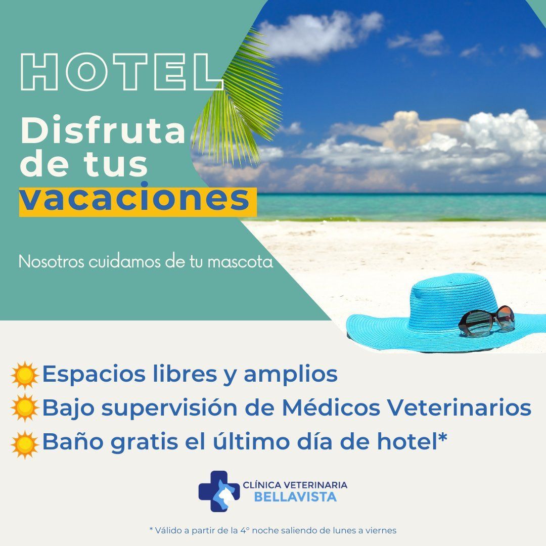 hotel para perros