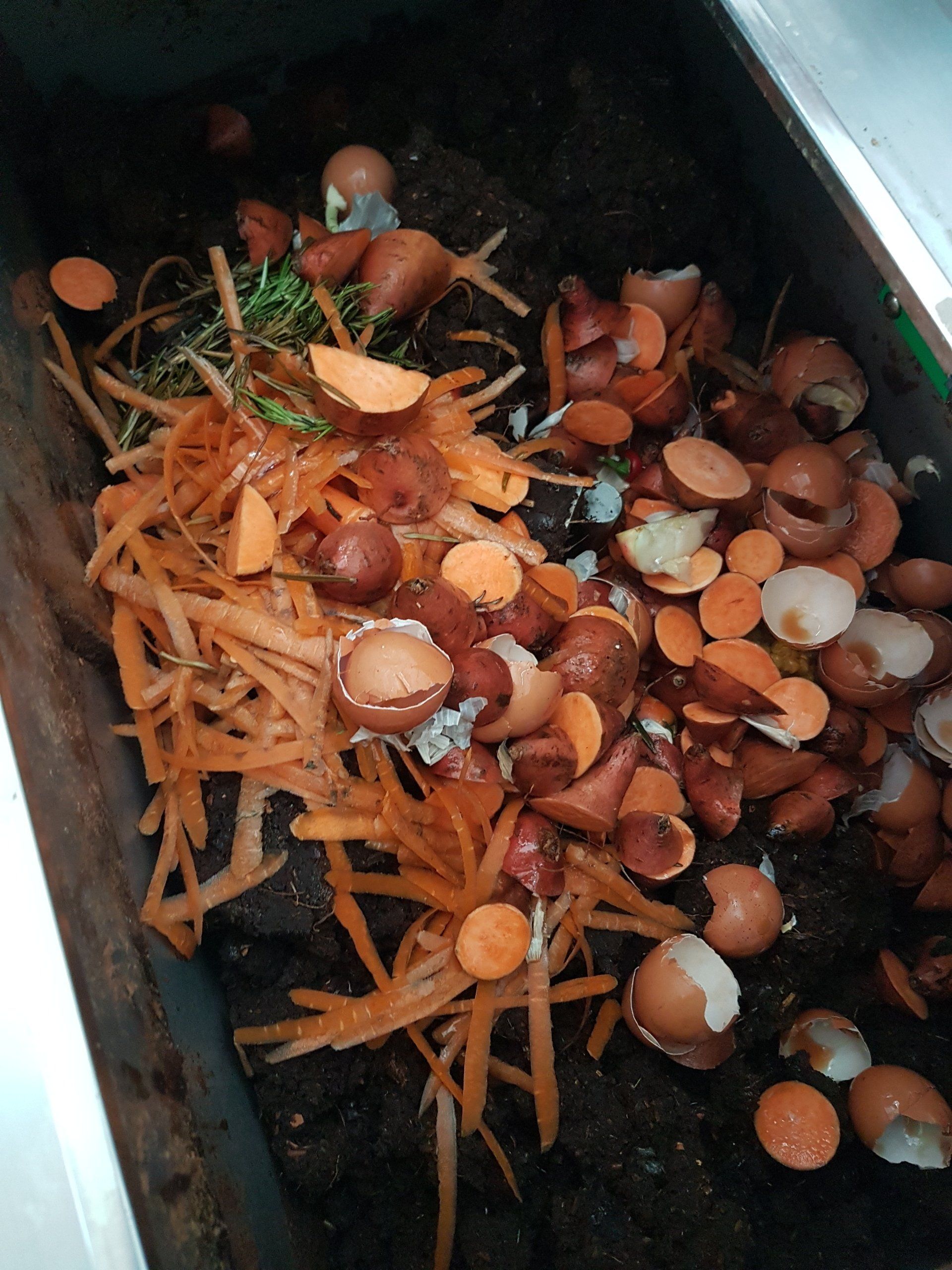 Eierschalen, Gemüseschalen, Gemüseabschnitte in einem Komposter