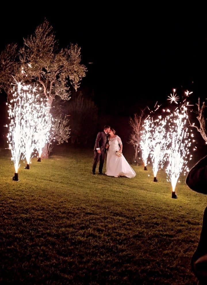 Coppia che si bacia sotto i fuochi d'artificio di notte, in piedi sull'erba con alberi sullo sfondo.