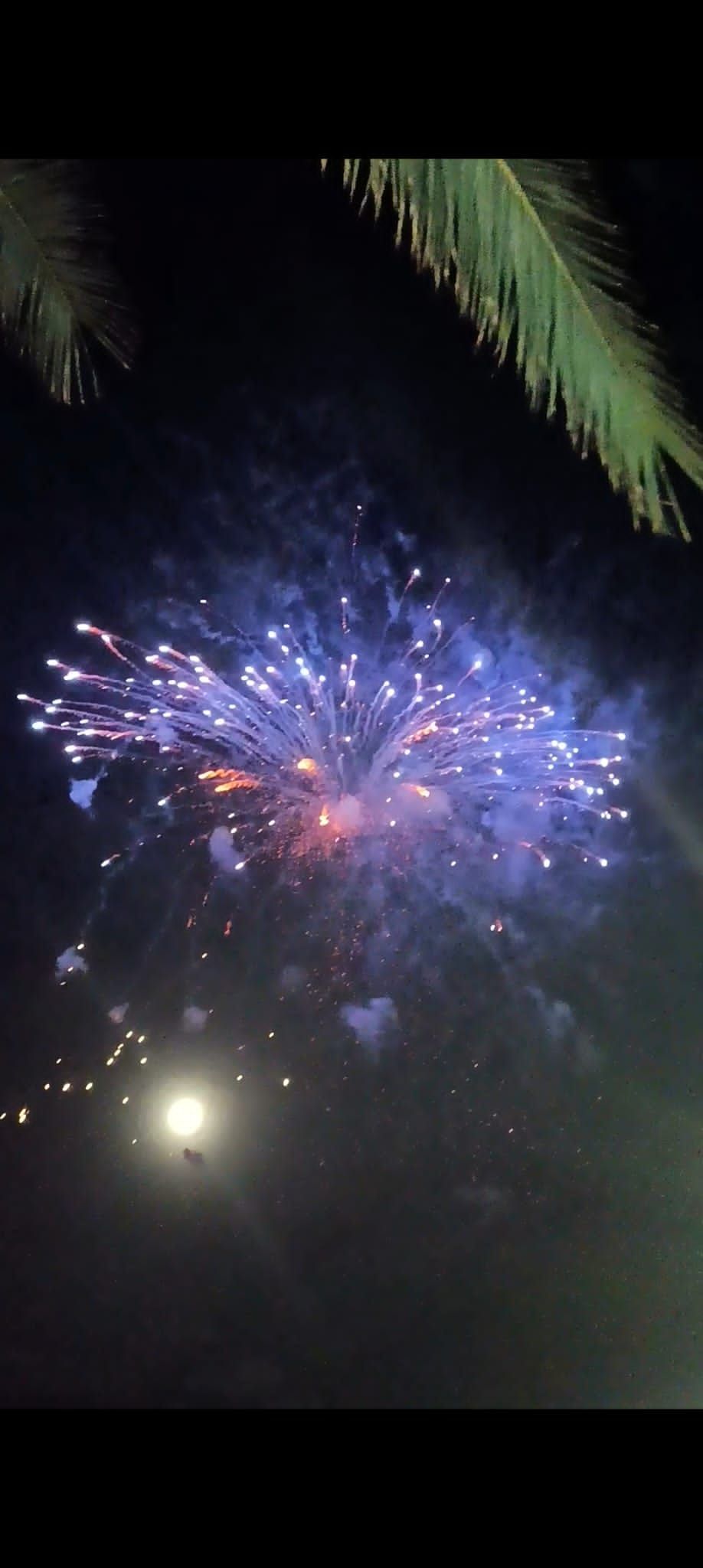 Fuochi d'artificio per eventi pubblici