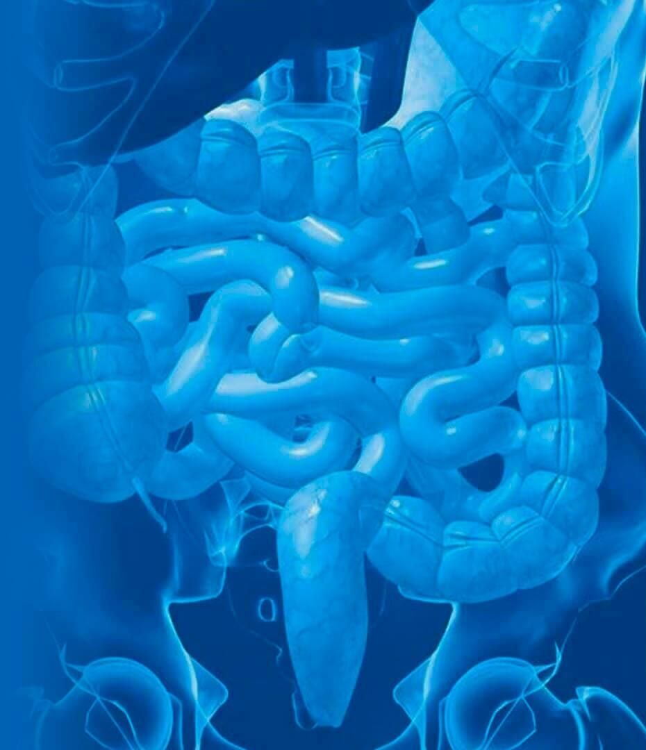 DR. GERARDO GONZÁLEZ COLOPROCTÓLOGO Y CIRUJANO GENERAL