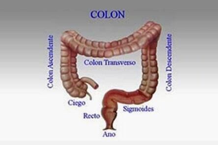 DR. GERARDO GONZÁLEZ COLOPROCTÓLOGO Y CIRUJANO GENERAL