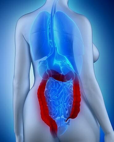 DR. GERARDO GONZÁLEZ COLOPROCTÓLOGO Y CIRUJANO GENERAL