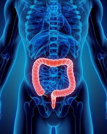 DR. GERARDO GONZÁLEZ COLOPROCTÓLOGO Y CIRUJANO GENERAL