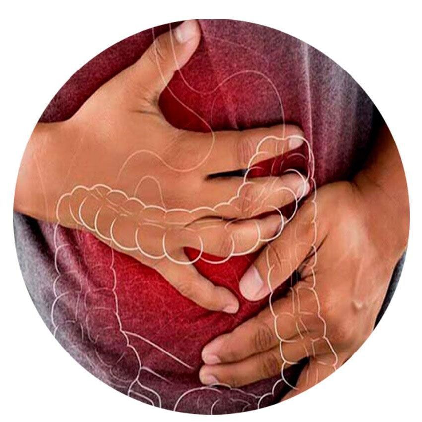 DR. GERARDO GONZÁLEZ COLOPROCTÓLOGO Y CIRUJANO GENERAL