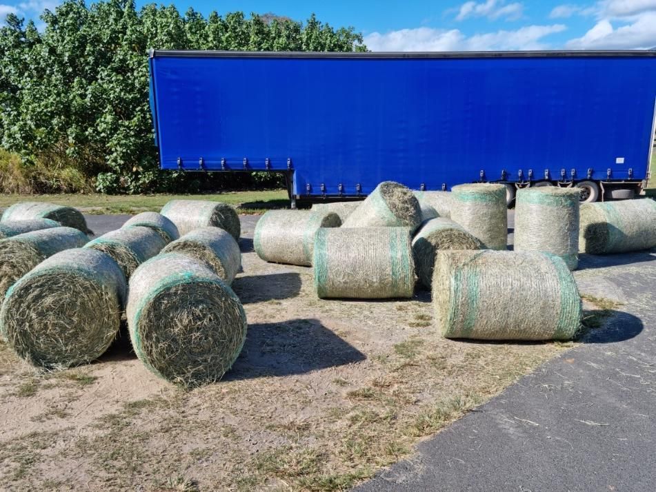 A Bunch of Hay Bales Are Sitting on the Ground in Front of a Blue Trailer — NQ Stockfeeds & Farm Supplies in Mossman, QLD