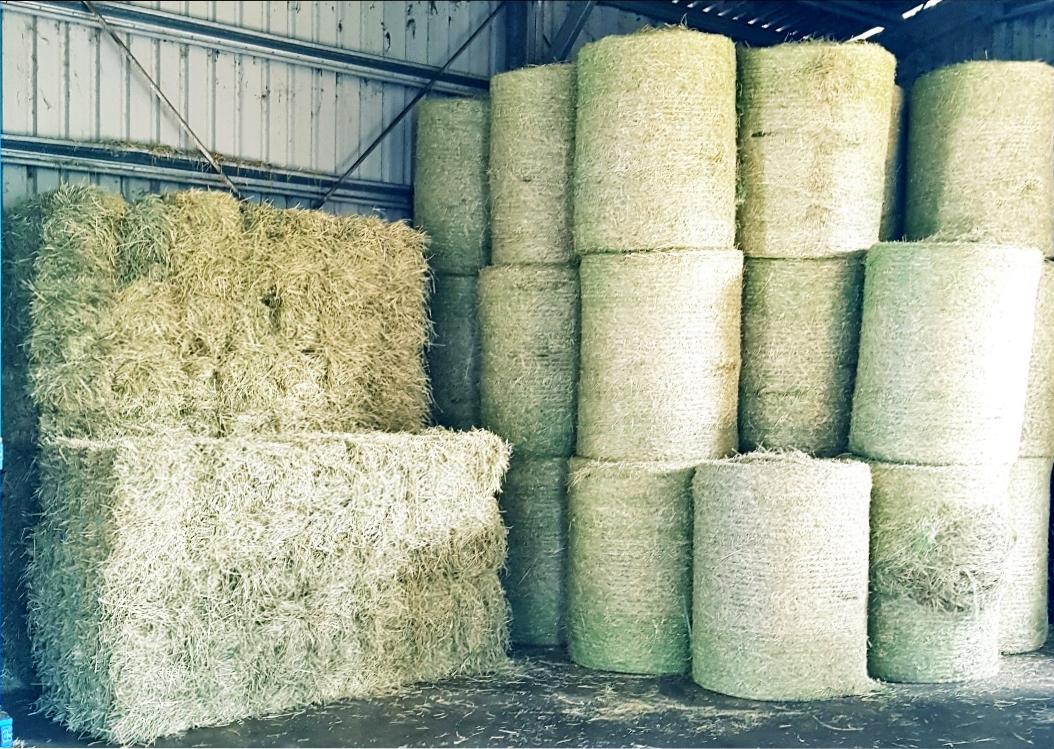 A Bunch of Hay Bales Are Stacked on Top of Each Other in a Barn — NQ Stockfeeds & Farm Supplies in Yorkeys Knob, QLD