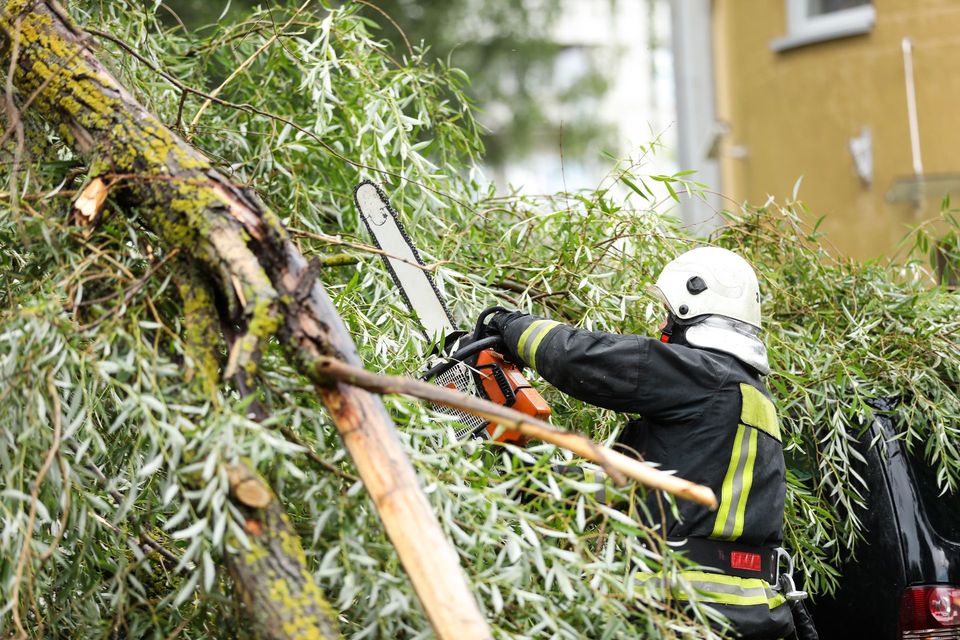 Storm Damage Cleanup
