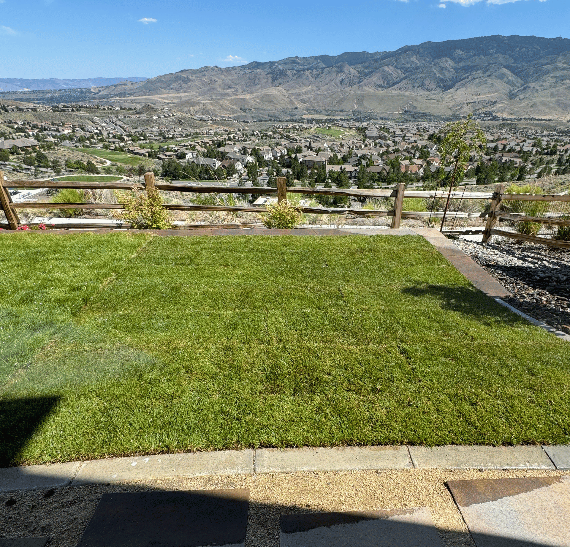 A large lush green lawn with trees in the background on a sunny day. designed by All In Hardscape.