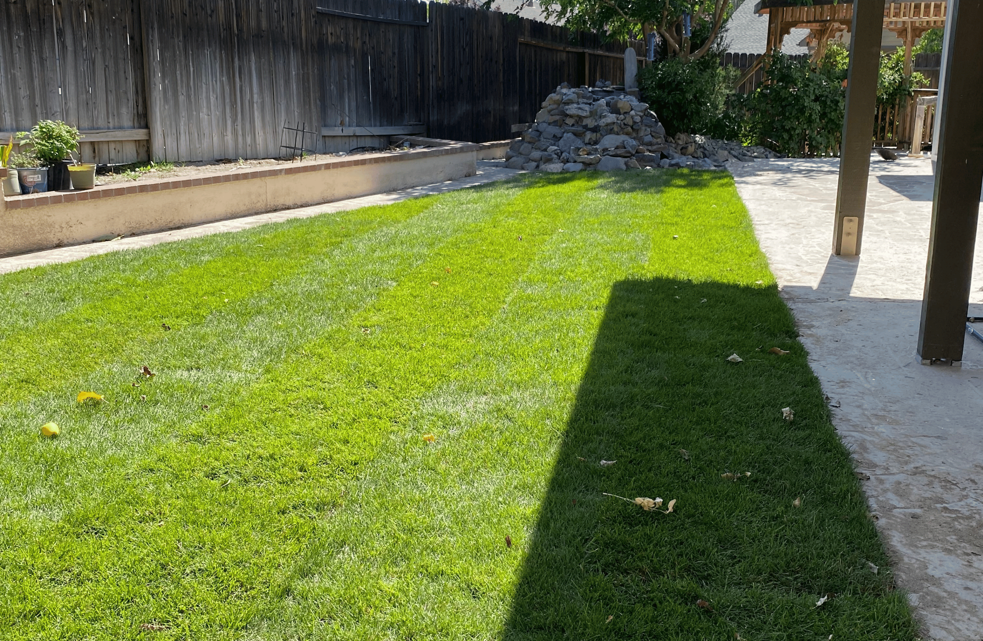 A large lush green lawn with trees in the background on a sunny day. designed by All In Hardscape.