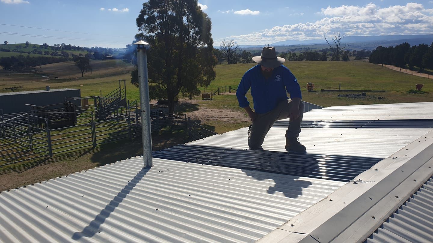 Man on a Corrugated Metal Roof, Examining the Surface — Expert Plumbing & Solar Services Bathurst in Kelso, NSW