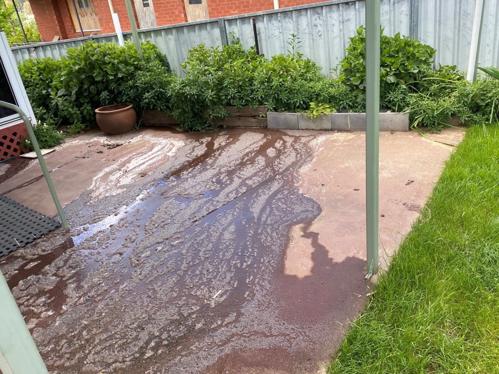 Muddy Concrete Patio With Water and Plants Along the Fence — Expert Plumbing & Solar Services Bathurst in Oberon, NSW