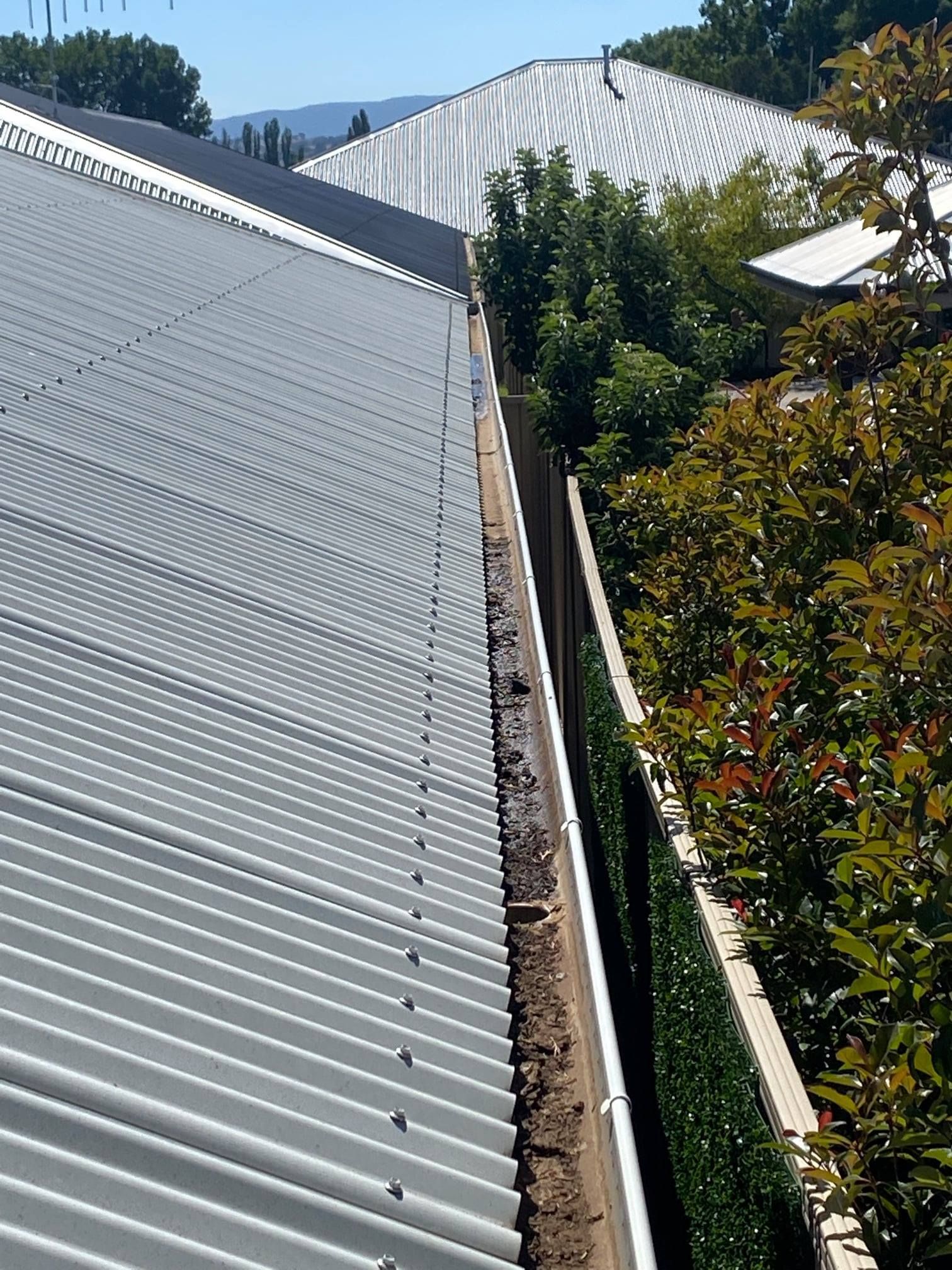 Gutter on a Corrugated Metal Roof is Filled With Debris — Expert Plumbing & Solar Services Bathurst in Kelso, NSW