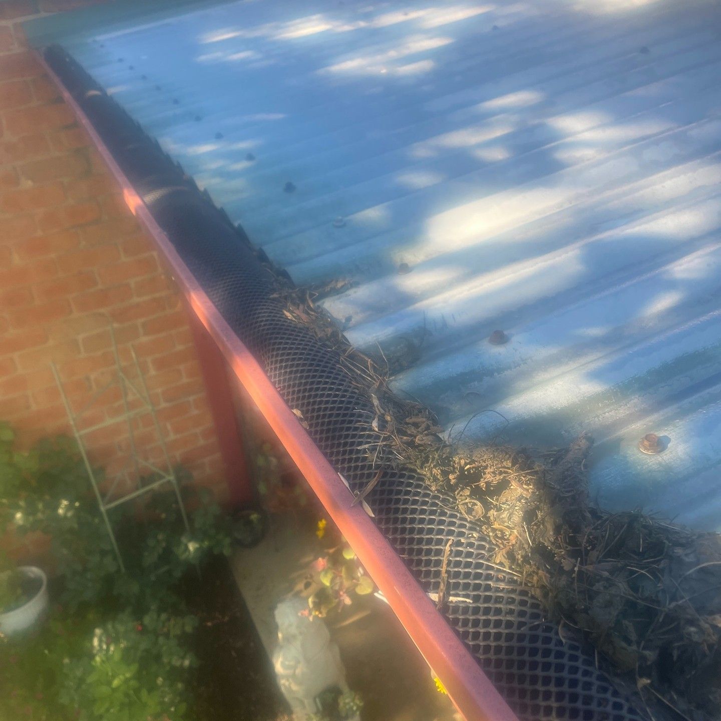 Rooftop Gutter With a Mesh Screen, Filled With Leaves and Debris — Expert Plumbing & Solar Services Bathurst in Orange, NSW