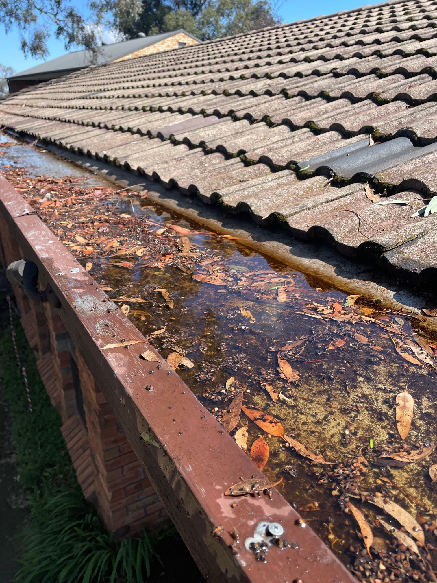 Gutters Filled With Water, Leaves, and Debris Next to a Tile Roof — Expert Plumbing & Solar Services Bathurst in Kelso, NSW
