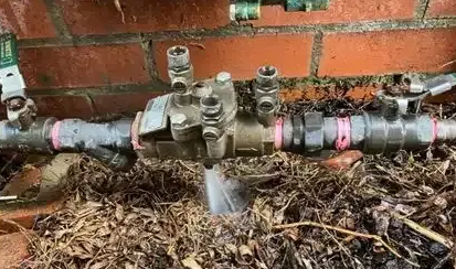 Water Meter and Pipes With a Leak Against a Brick Wall, Surrounded by Leaves — Expert Plumbing & Solar Services Bathurst in Kelso, NSW