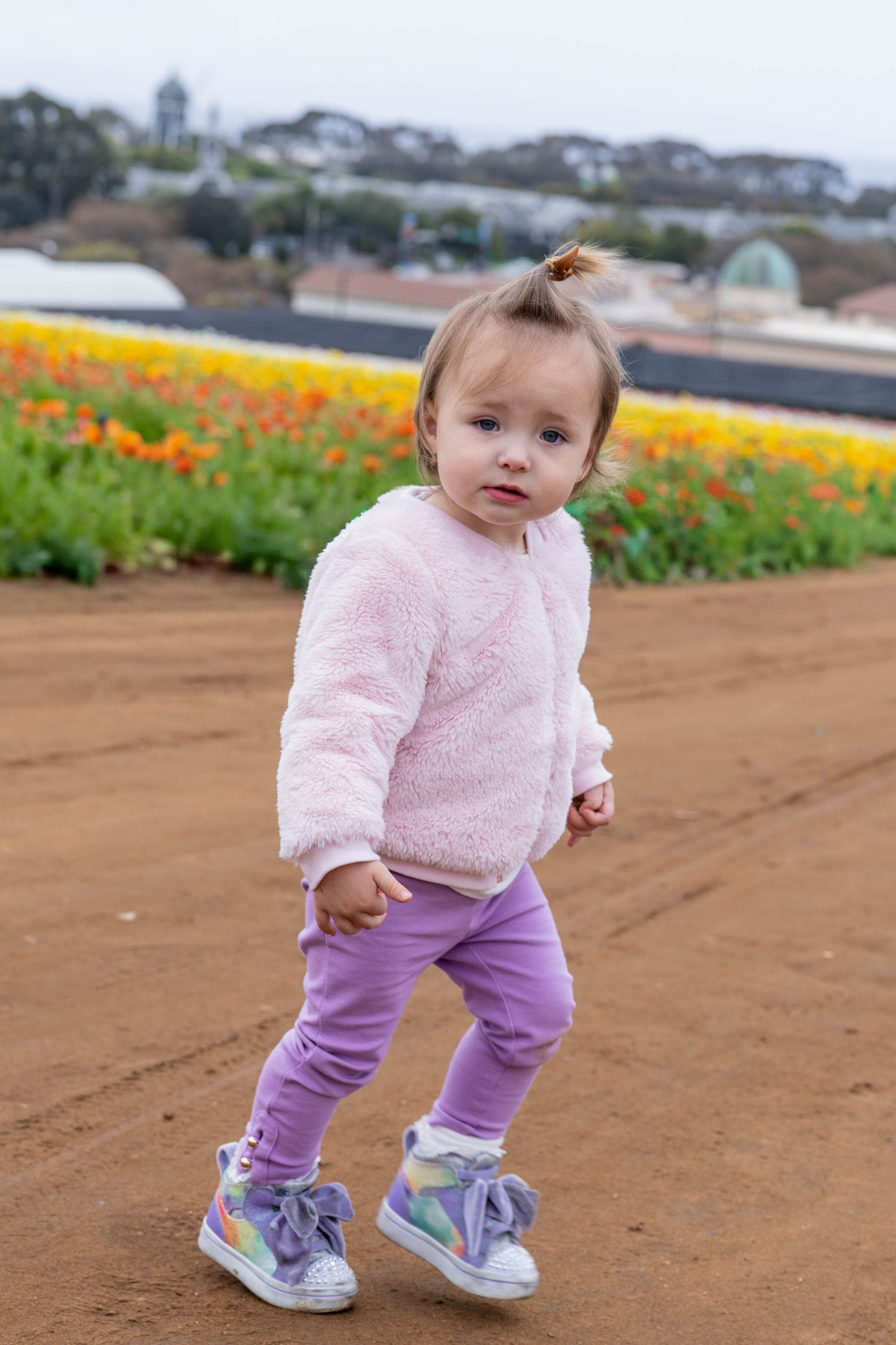 A toddler in pink jacket and purple pants walks on a dirt path in a field of colorful flowers Jelena's Photo.