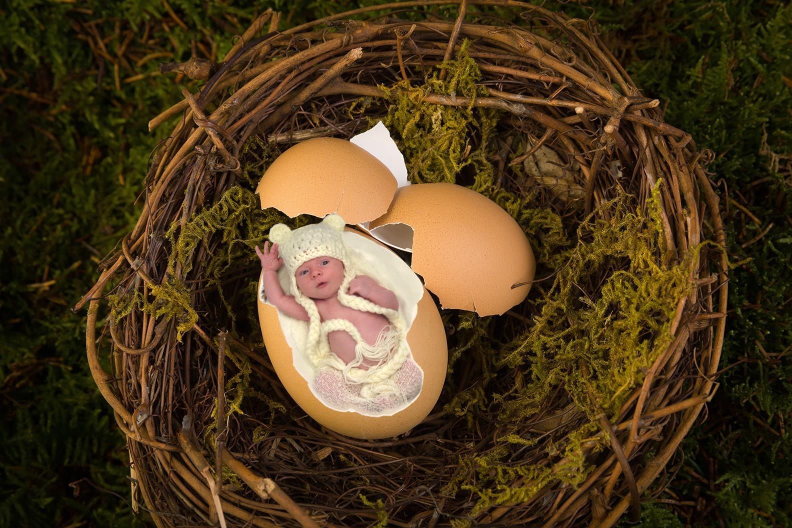 Newborn baby boy photography by Jelena's Photo.