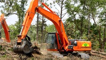 a large orange excavator is cutting down trees in a forest .