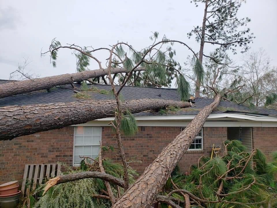 a tree that has fallen on top of a brick house