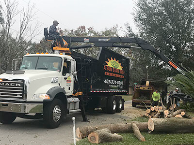 a truck with a crane on top of it is carrying logs .